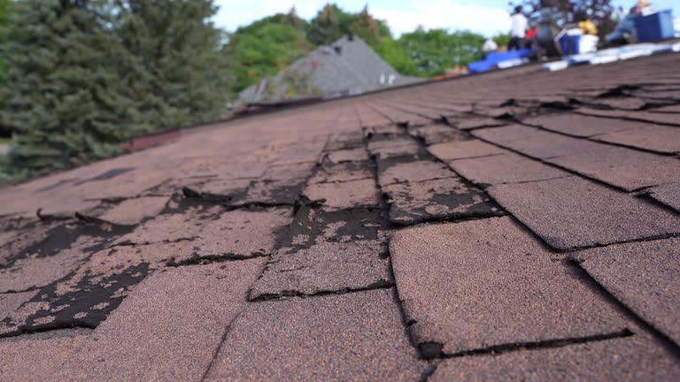 Best Hot Roofs  in Pollock Pines, CA
